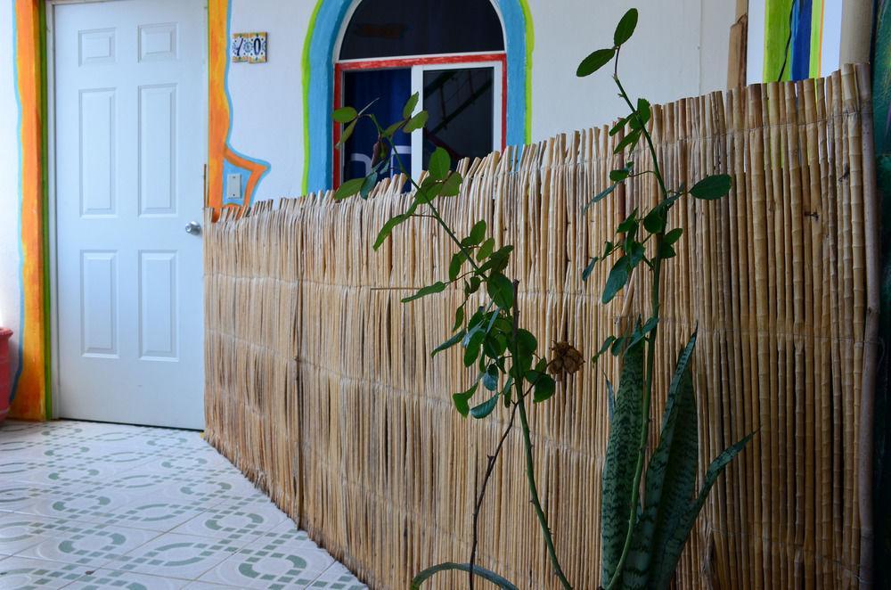 Adventure Experience Hotel Playa del Carmen Eksteriør billede